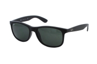 Ray-Ban Andy RB4202 606971 Sonnenbrille in matte black