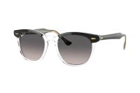 Ray-Ban Hawkeye RB2298 1294M3 Sonnenbrille in black on transparent