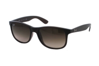 Ray-Ban Andy RB4202 607313 Sonnenbrille in matte brown