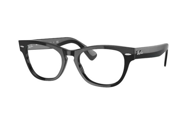 Ray-Ban Laramie RX2201V 2000 Brille in black - megabrille