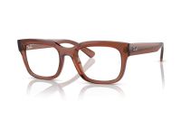 Ray-Ban Chad RX7217 8261 Brille in braun transparent