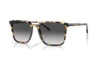 Dolce&Gabbana DG4424 512/8G Sonnenbrille in havana gelb
