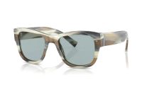 Dolce&Gabbana DG4338 339087 Sonnenbrille in grau hornfarben