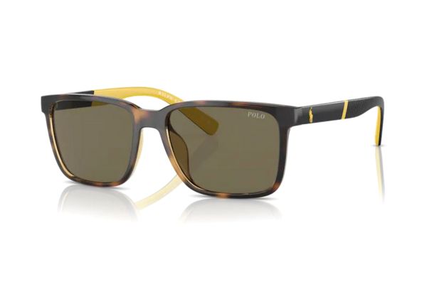 Polo Ralph Lauren PH4189U 5003/3 Sonnenbrille in glänzendes havanna - megabrille